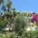 Patara Delfin Hotel